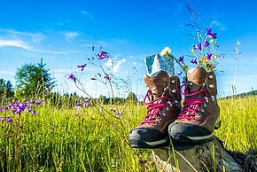 Bottes dans un champ contenant des fleurs